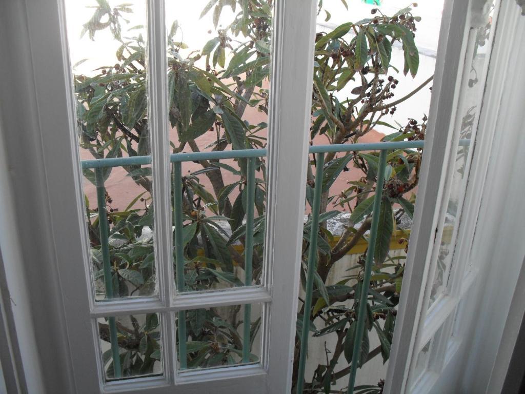 Casa Verde Ferreira Do Alentejo Bilik gambar